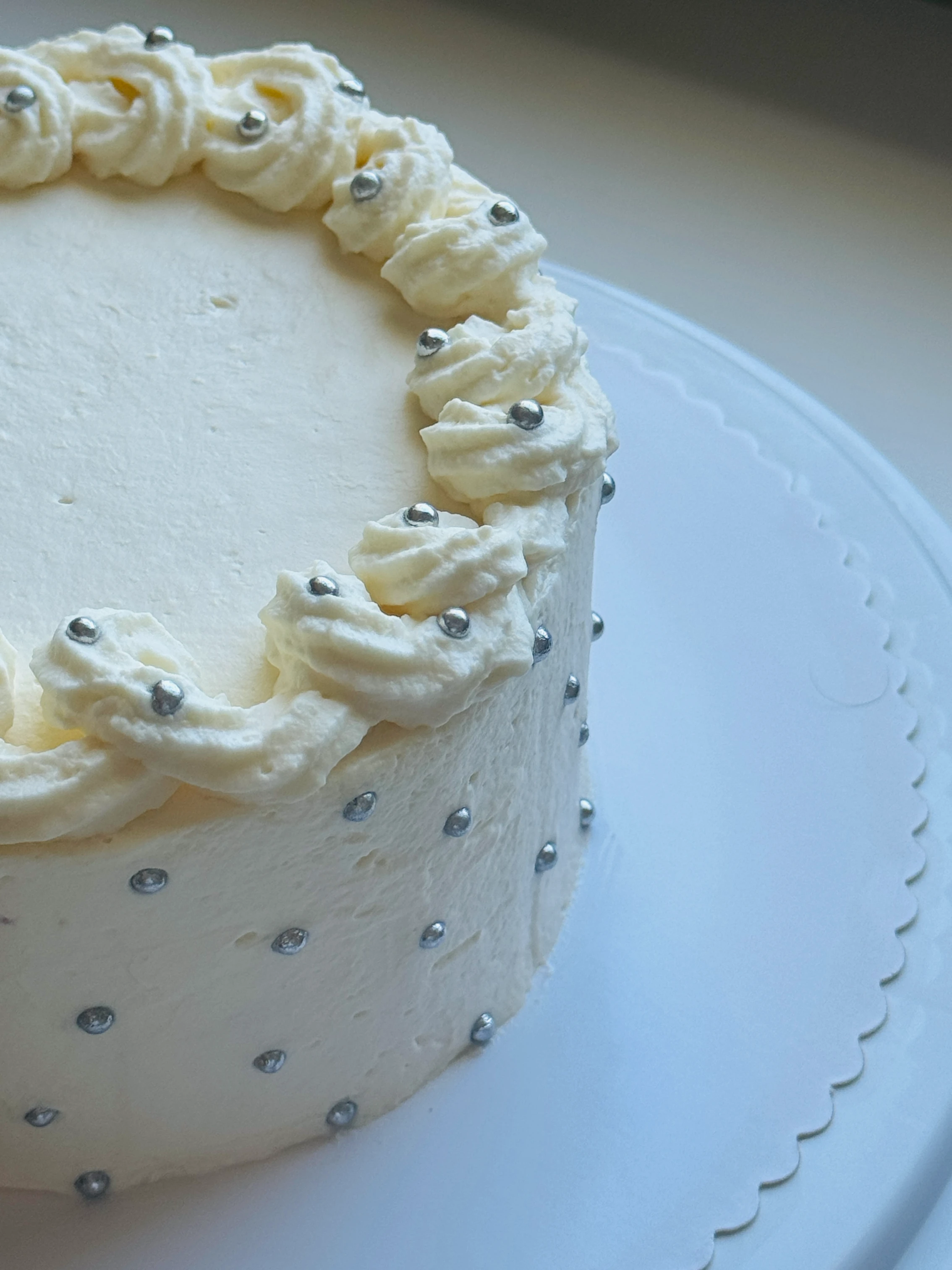 First Berry Chantilly Cake 2