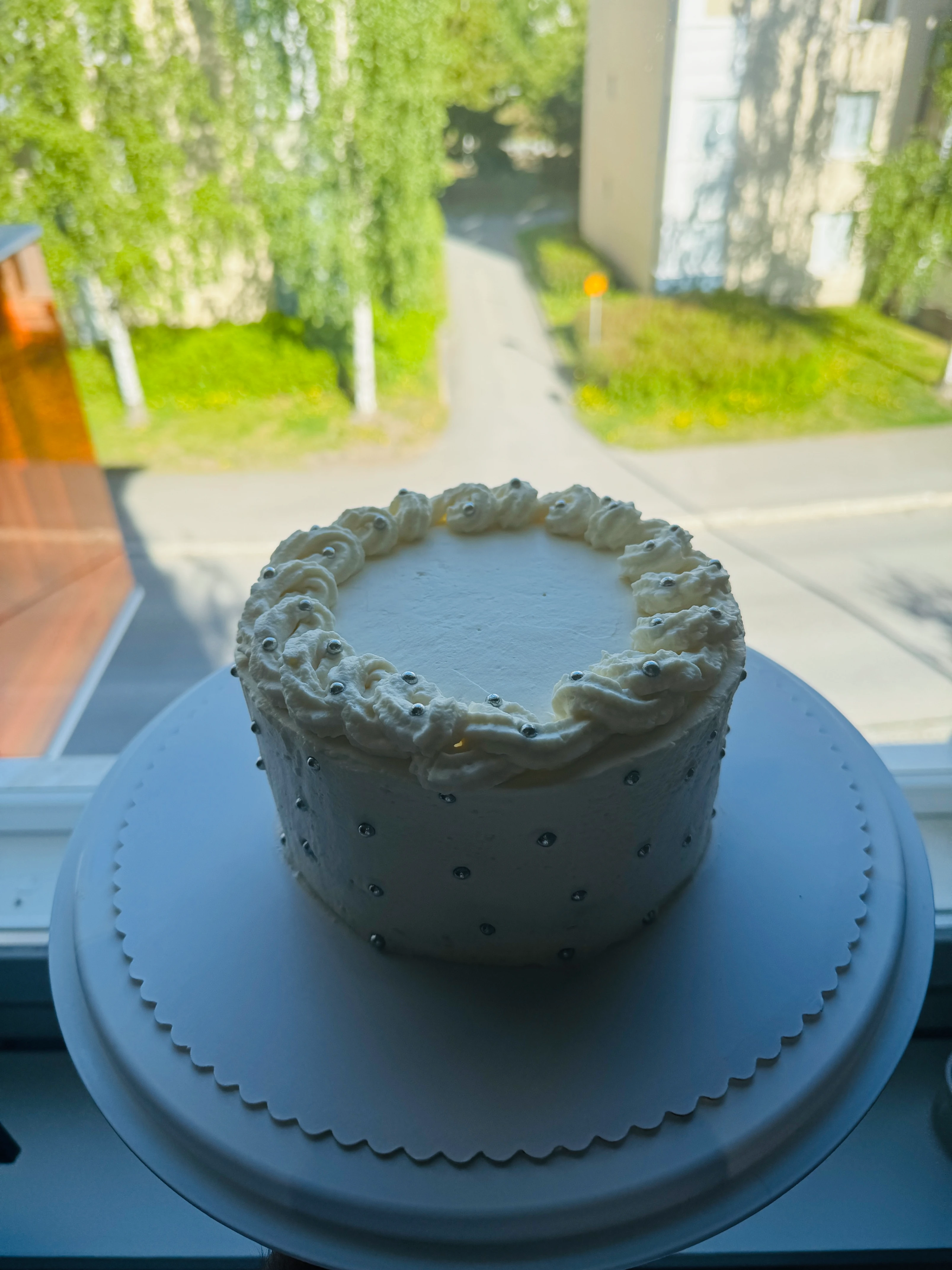 First Berry Chantilly Cake 6